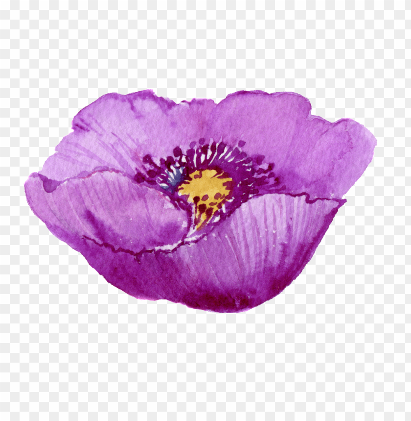 este gráficos es pintado a mano de la flor morada png - flower PNG image  with transparent background | TOPpng