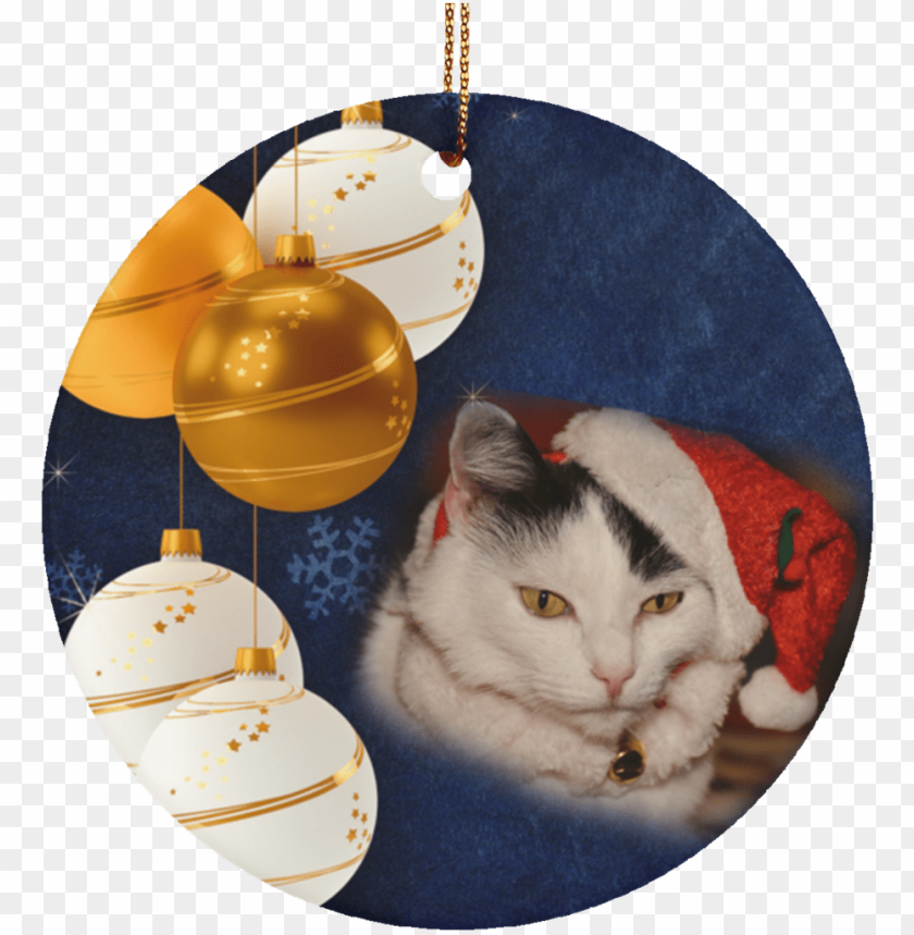 hanging christmas ornaments, ornaments, hanging ornaments, flying cat, cat face, cat vector