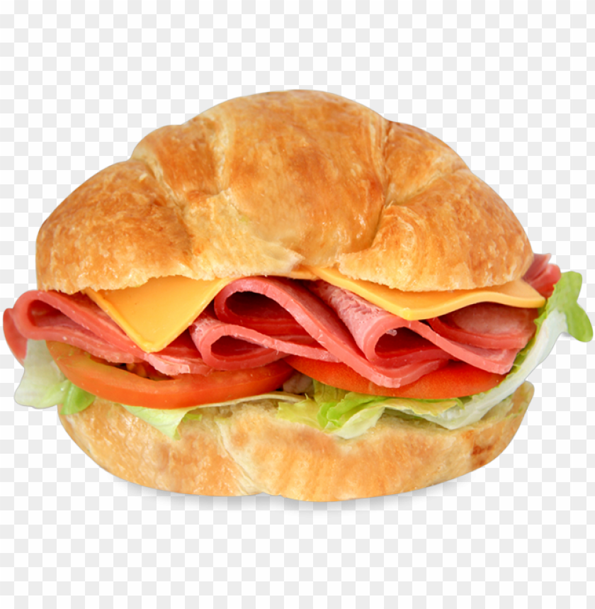 european sandwich fast food PNG transparent with Clear Background ID 239627