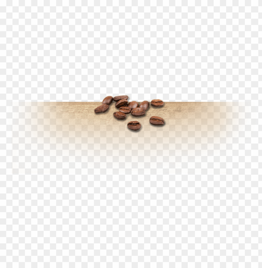background, header, cocoa, banner, coffee bean, wall, plant