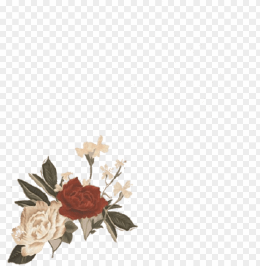 background, flower, ice age, floral, news, roses, illustration