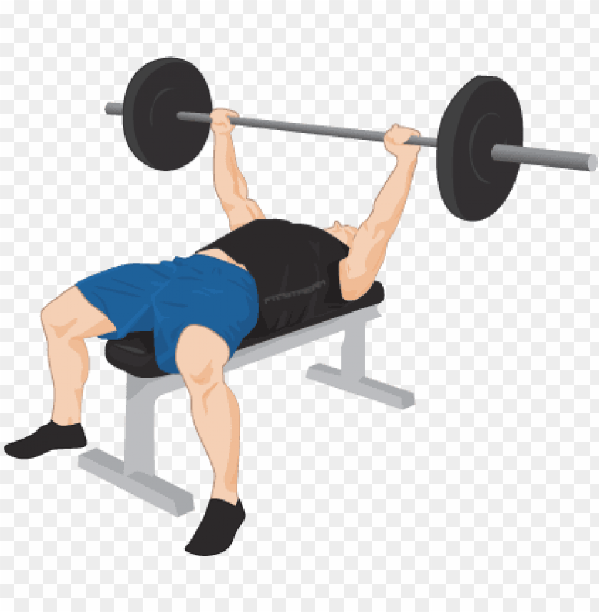 exercise png clipart - bench press transparent PNG image with transparent b...