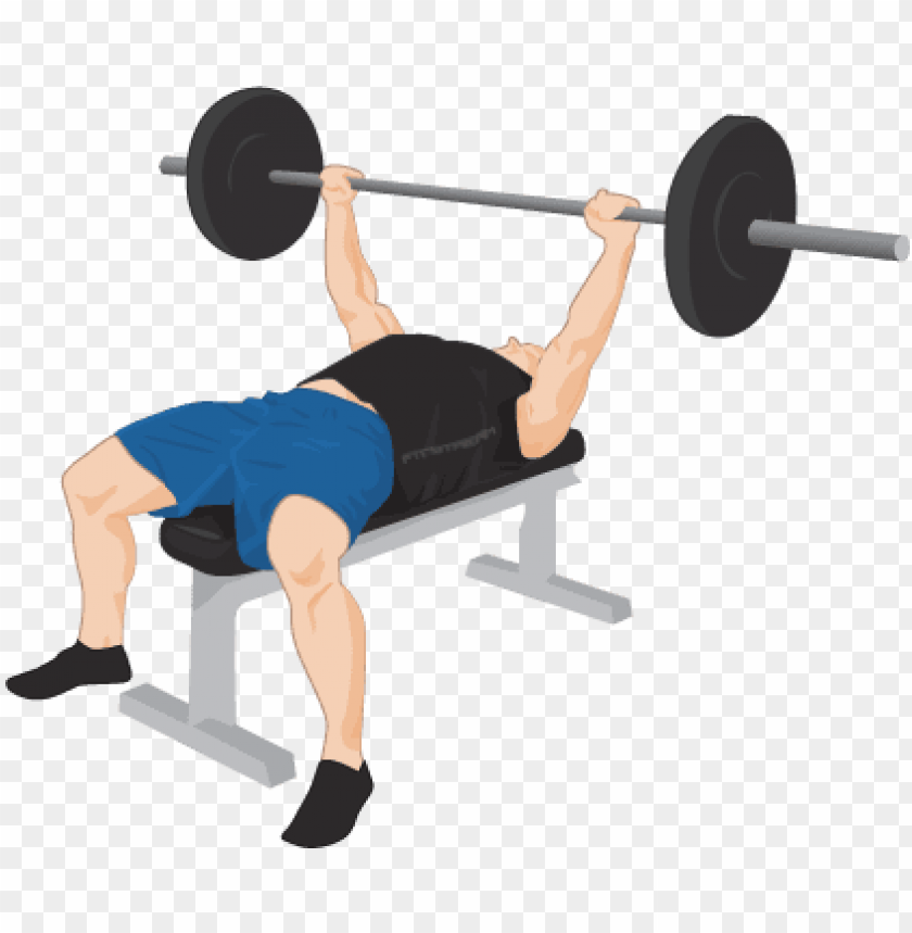 exercise png clipart bench press transparent PNG transparent with Clear Background ID 173936