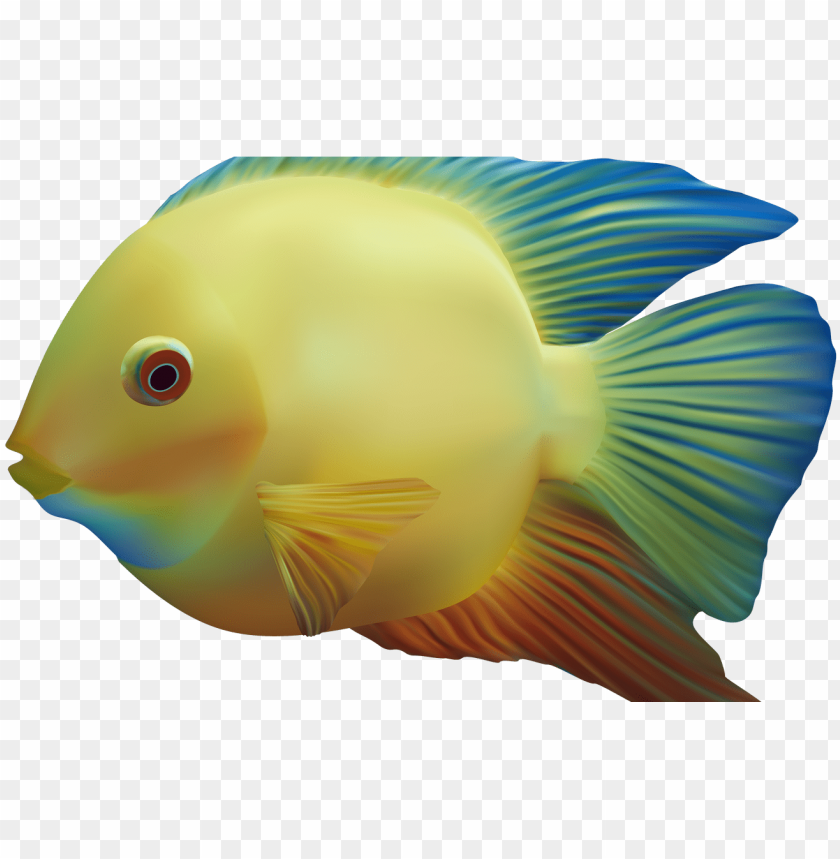 free PNG exotic fish png clipart best web clipart - fish PNG image with transparent background PNG images transparent