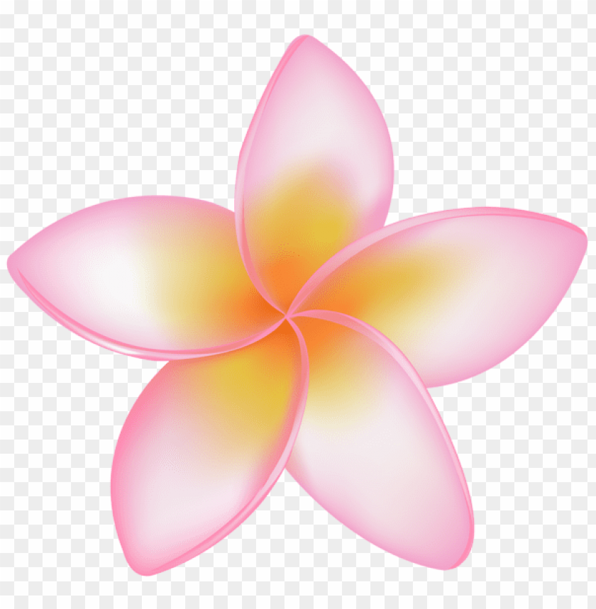PNG Image Of Exotic Flower Pink With A Clear Background - Image ID ...