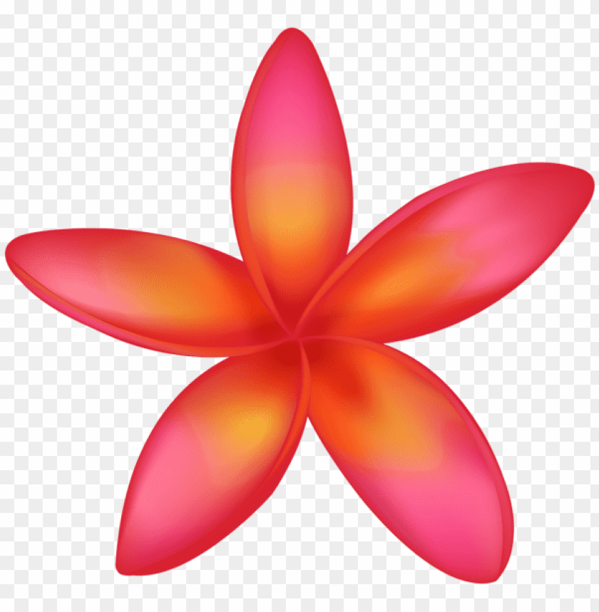 exotic flower png
