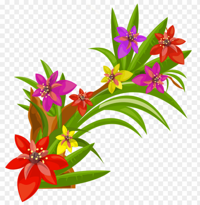 exotic flowers decoration