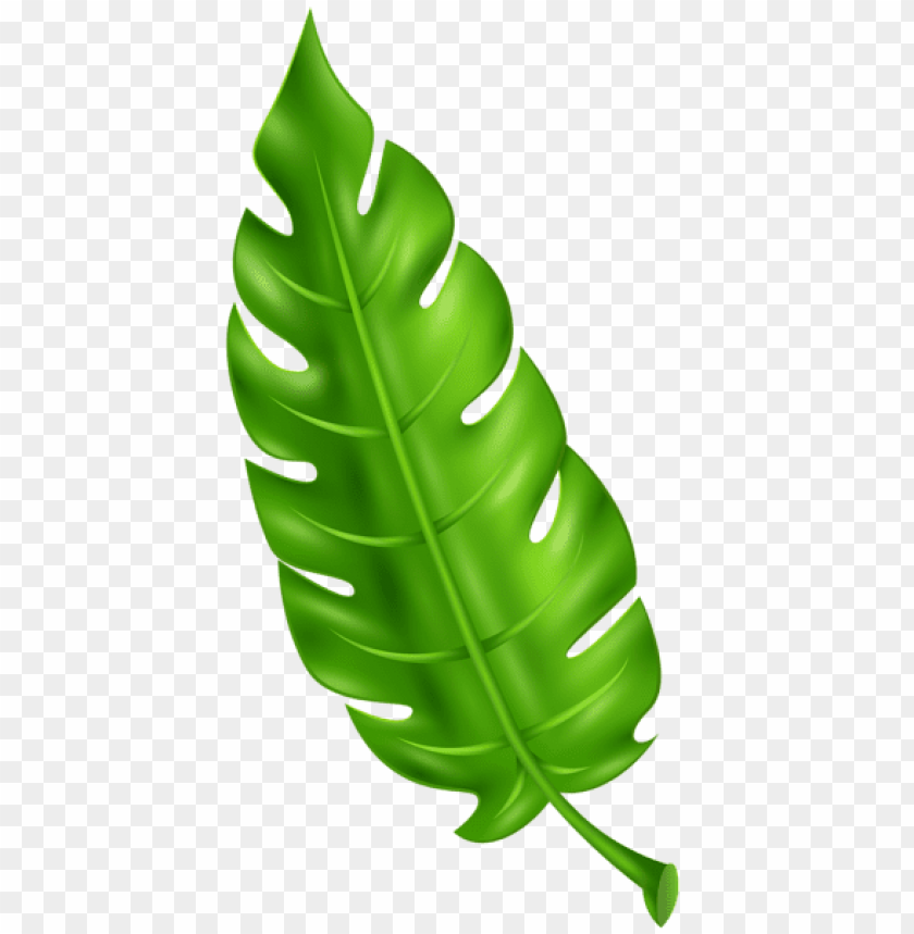 exotic green leaf