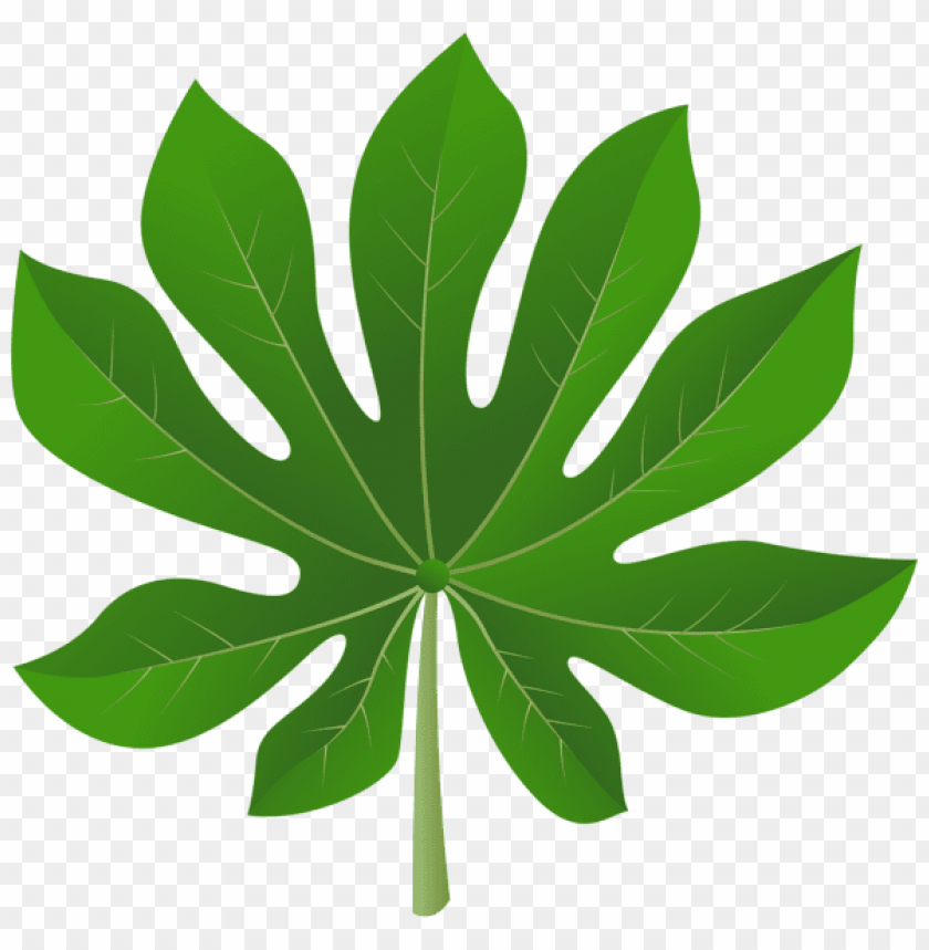 exotic leaf
