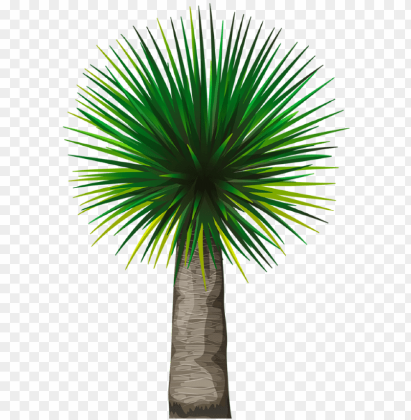 PNG image of exotic palm tree with a clear background - Image ID 48612