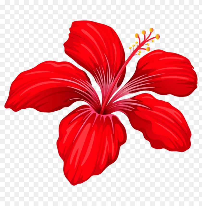 exotic red flower