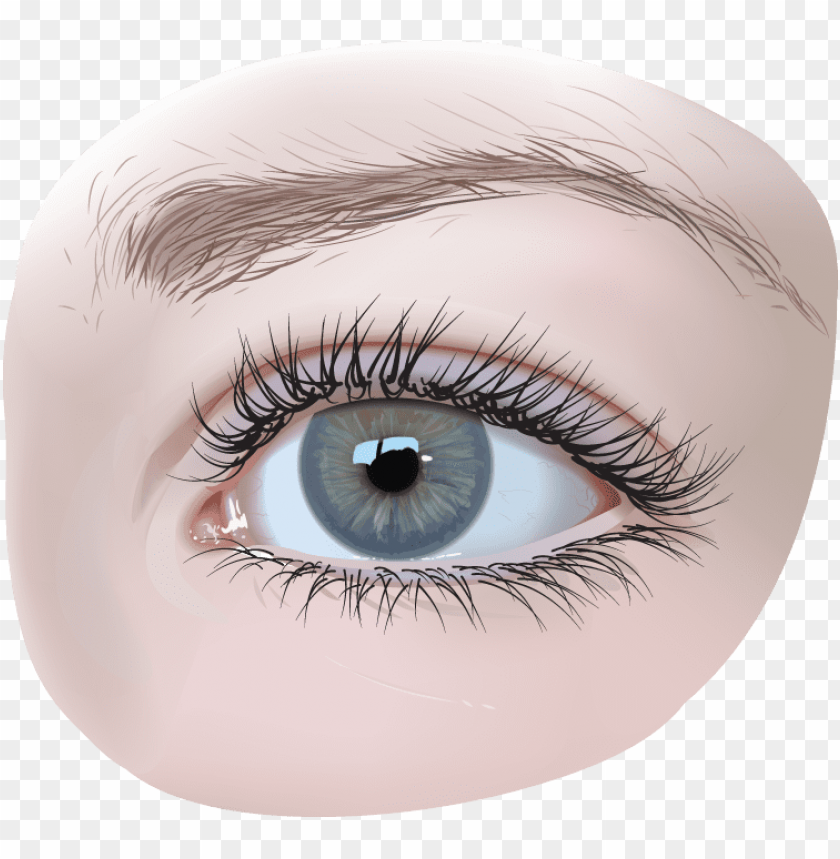 Transparent background PNG image of eye - Image ID 24539