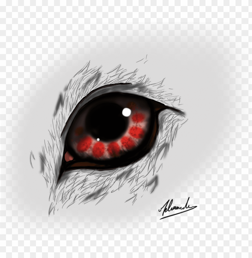 Eye Blood Wolf By The Painti Png Image With Transparent - bloody wolf roblox