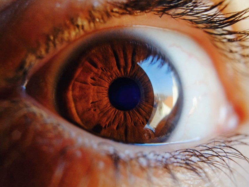 eye, pupil, close up, brown, highlight