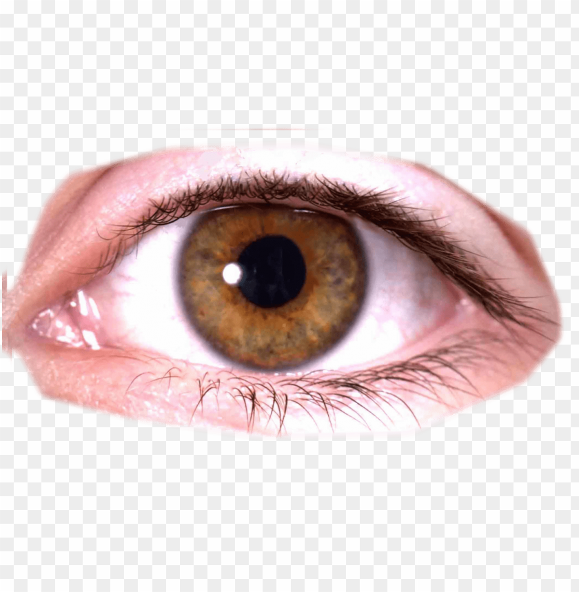 eye s PNG image with transparent background.