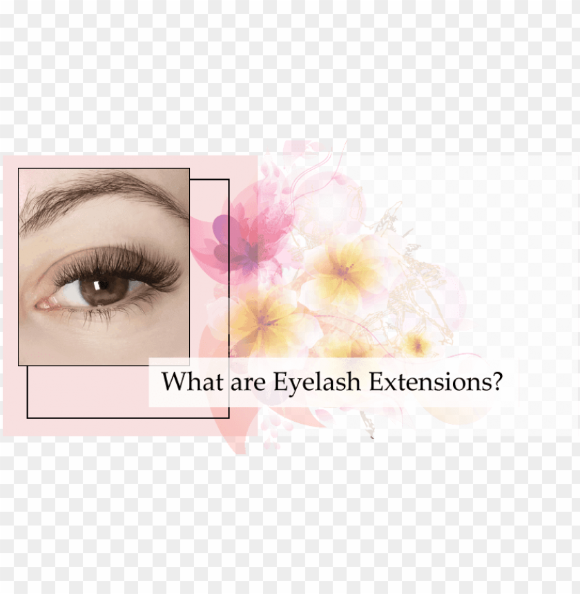 eyelashes, extension, beauty, illustration, face, plug, eye