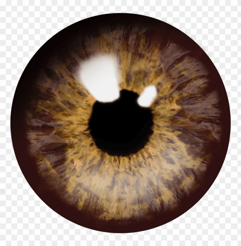 Download eyes png images background@toppng.com