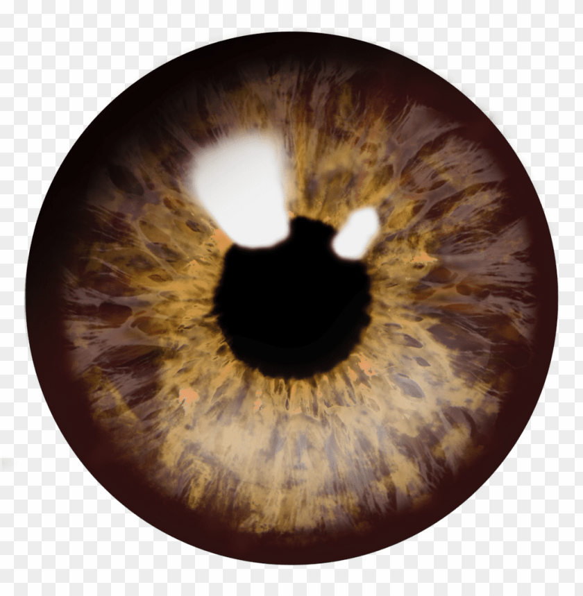 Transparent background PNG image of eyes - Image ID 24532