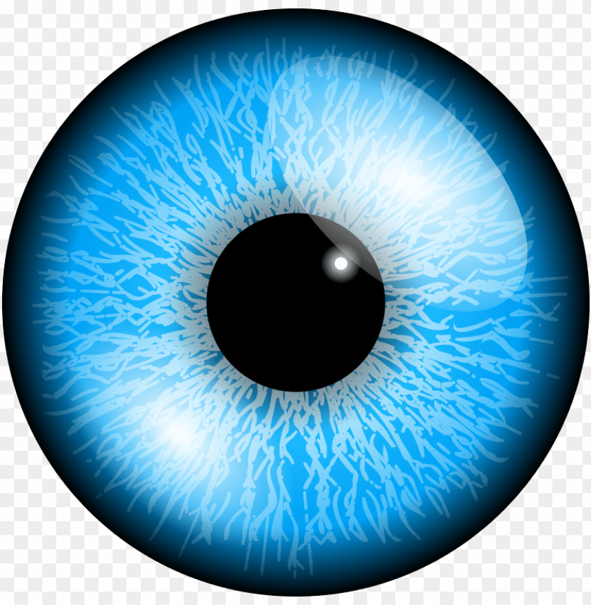 
eyes
, 
organs of the visual system
, 
organisms vision
, 
optical system
, 
light
, 
focuses
, 
lens
