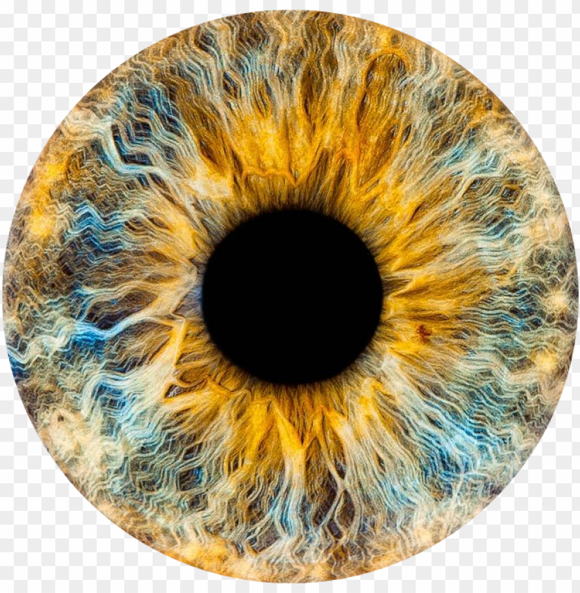 eyes iris reference PNG image with transparent background | TOPpng