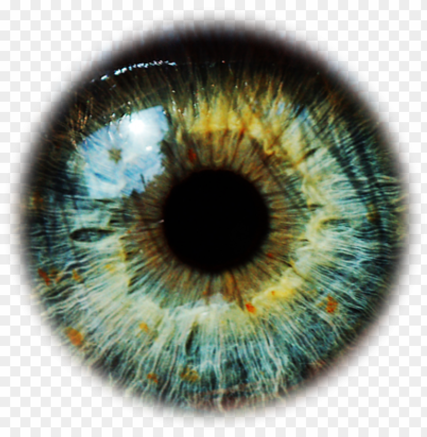 Hình ảnh về đôi mắt xanh lá cây với định dạng PNG sẽ giúp bạn có những trải nghiệm thú vị và tuyệt vời hơn. Hãy tìm hiểu ngay về sự đẹp mắt và bí ẩn của đôi mắt xanh lá cây thông qua hình ảnh với định dạng PNG độc đáo này.