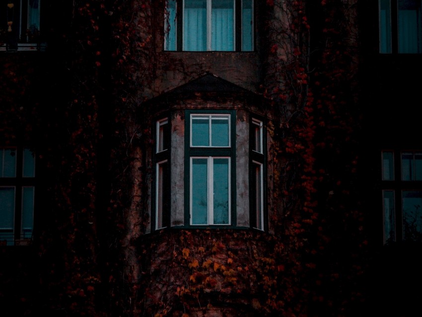 facade, windows, building, leaves, dark