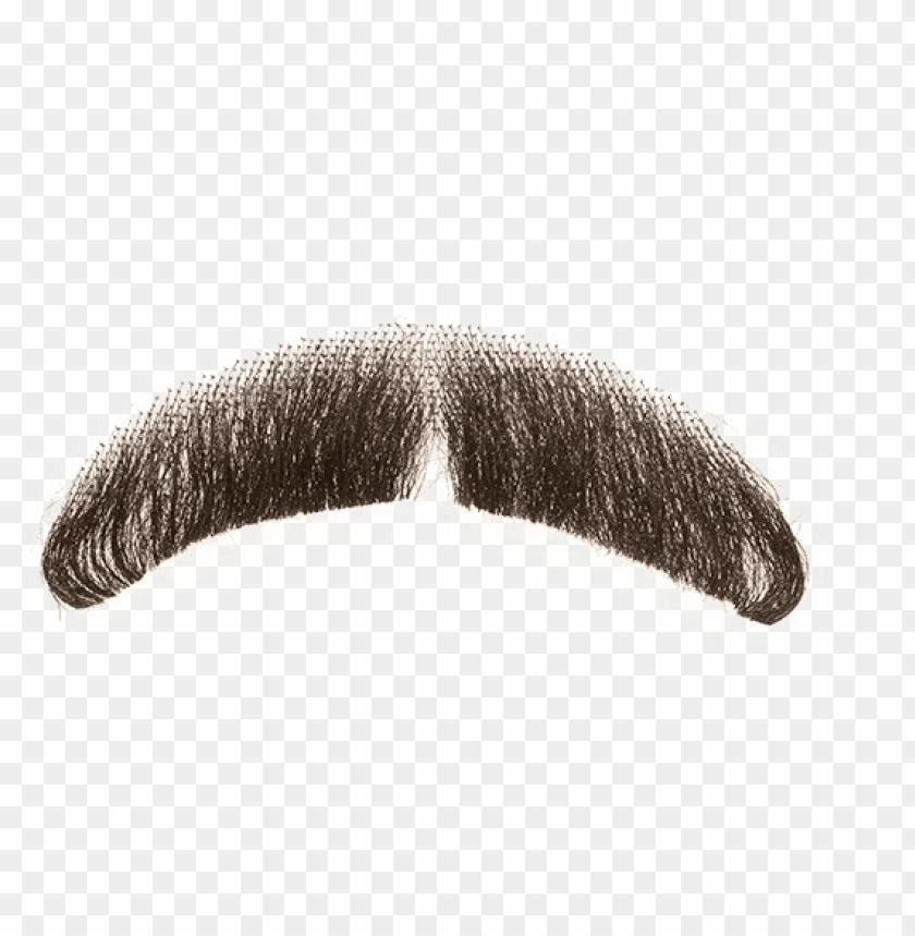 fake moustache transparent background real mustache beard PNG transparent with Clear Background ID 165125