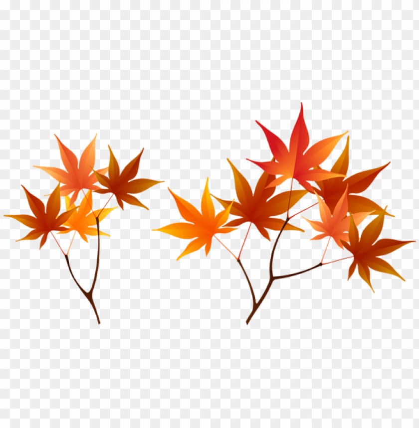 fall branches clipart png photo - 55874