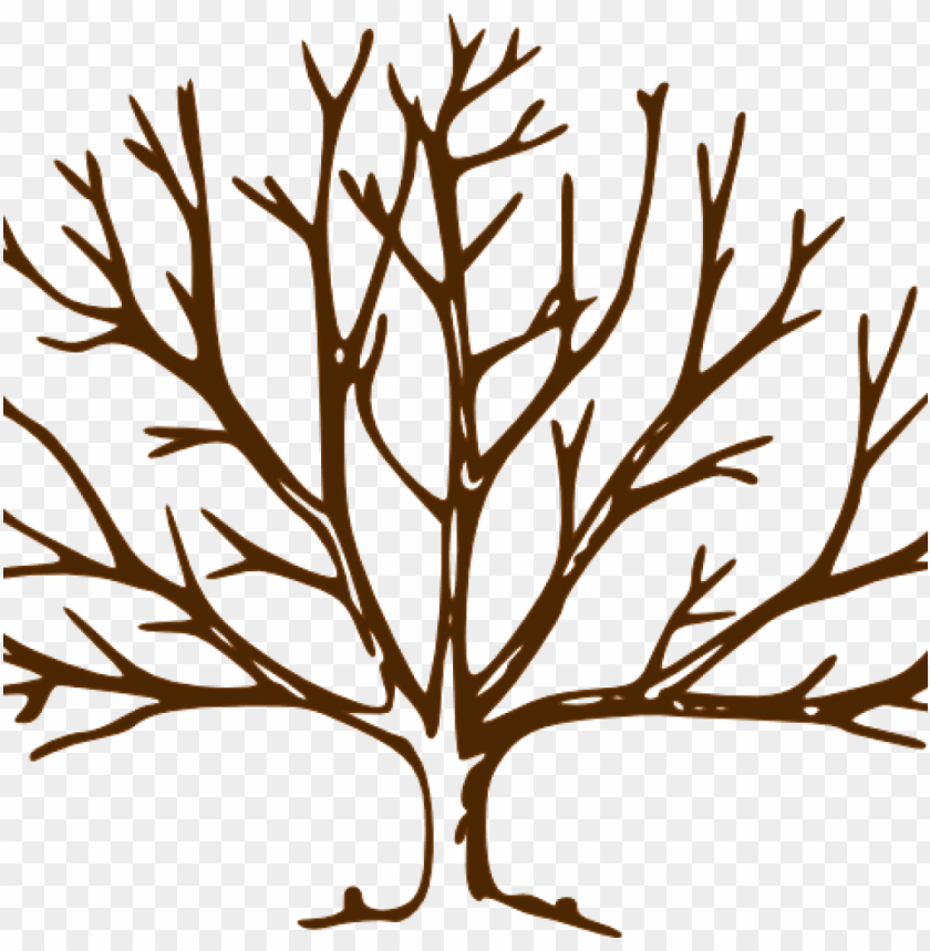 free PNG fall clipart bare fall tree - draw a tree with snow PNG image with transparent background PNG images transparent