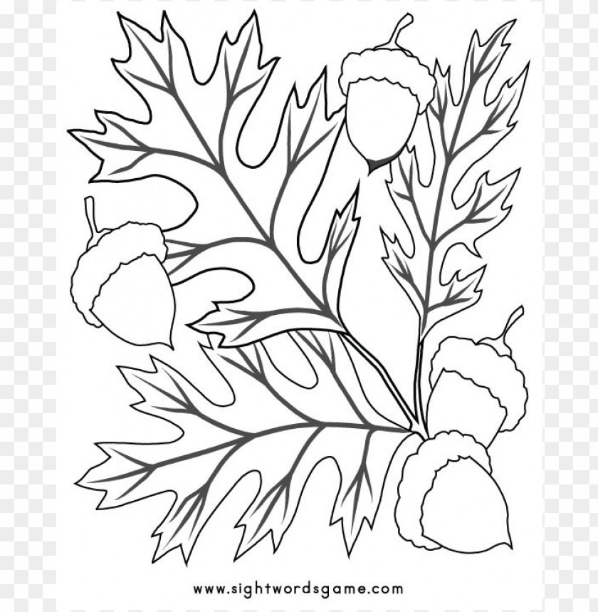 fall colors coloring sheet PNG transparent with Clear Background ID 106473