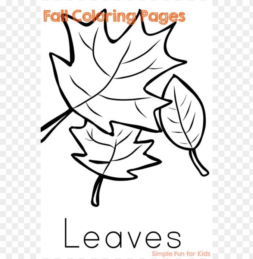 Fall Colors Coloring Sheet PNG Image With Transparent Background