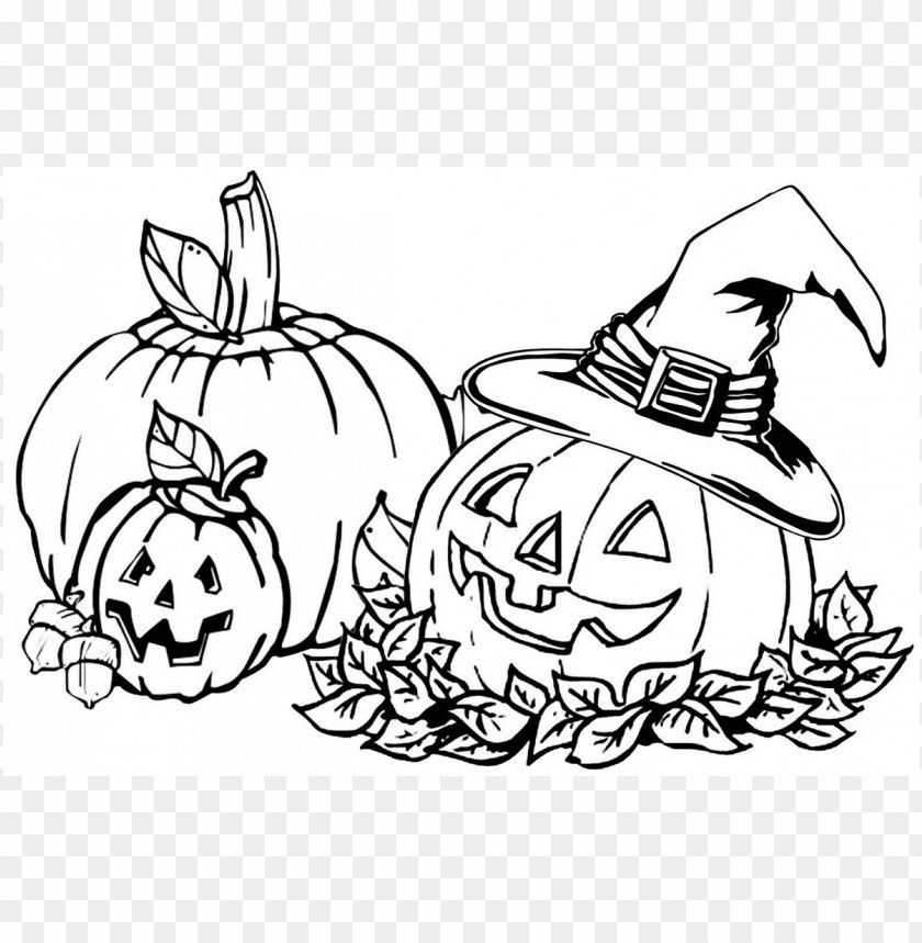 fall colors coloring sheet PNG transparent with Clear Background ID 108562