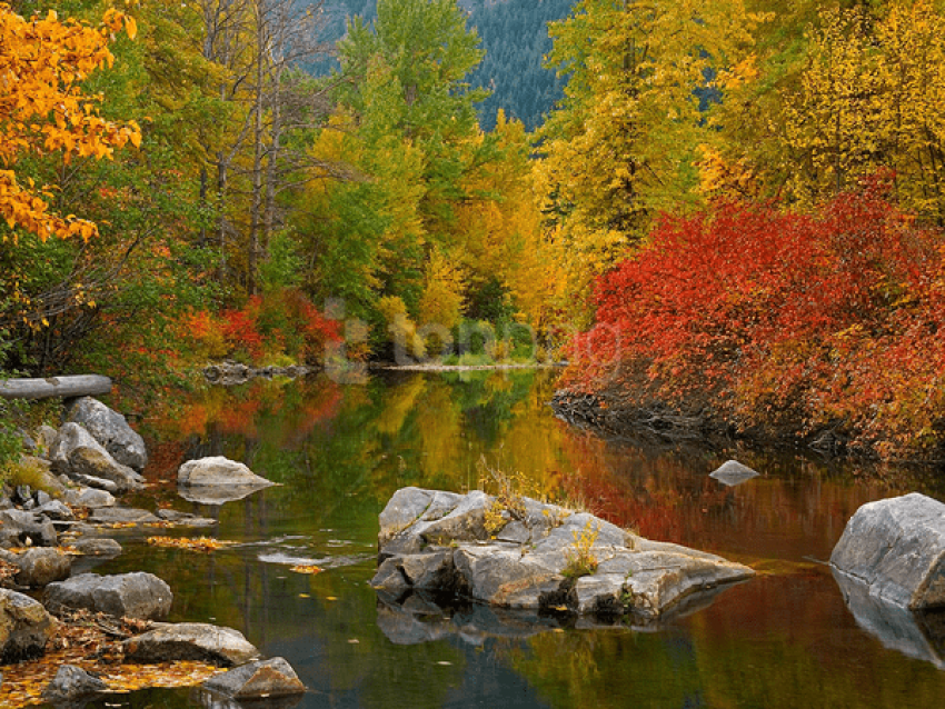 Fall Lake Background Best Stock Photos