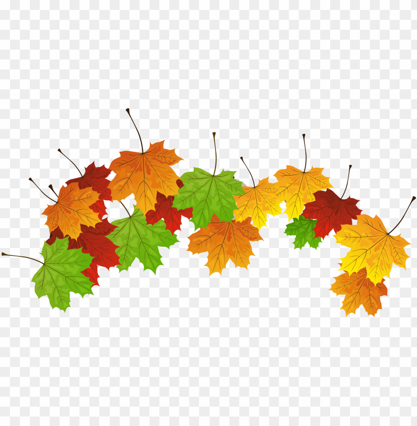 fall leaves png clipart image fall leaves clipart PNG transparent with Clear Background ID 275290