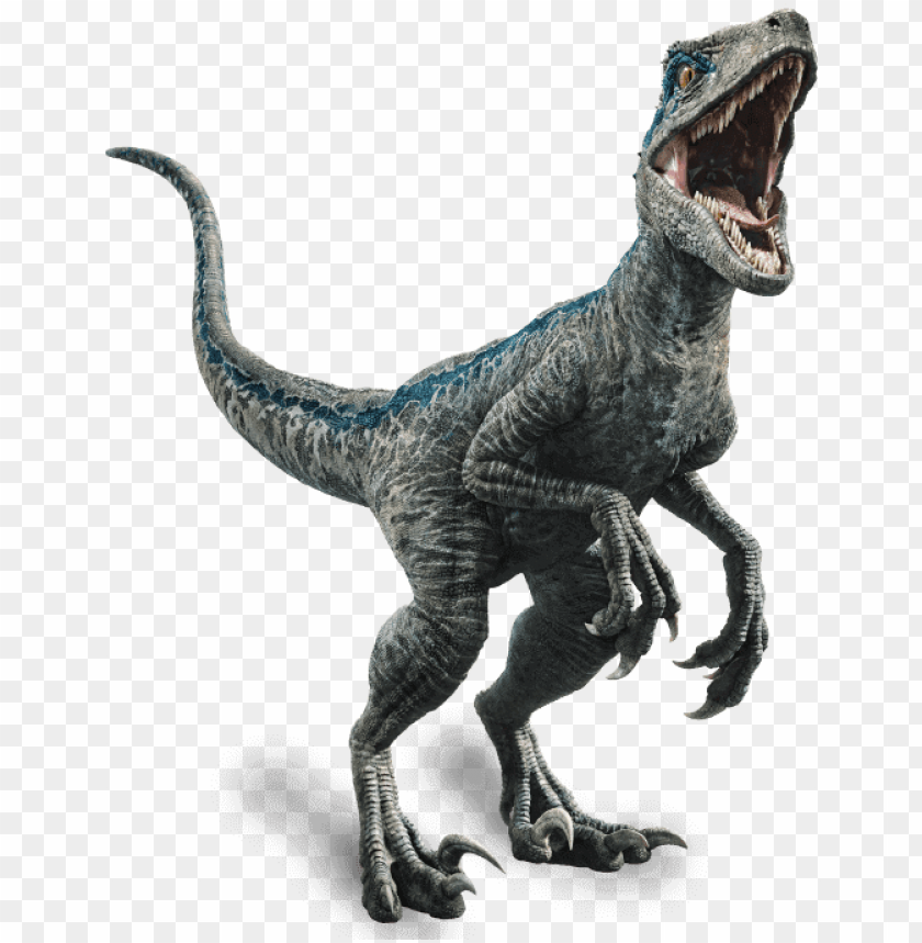 Fallen Kingdom Blue The Velociraptor By Sonichedgehog2 Dc80trd Blue Jurassic World Png Image With Transparent Background Toppng