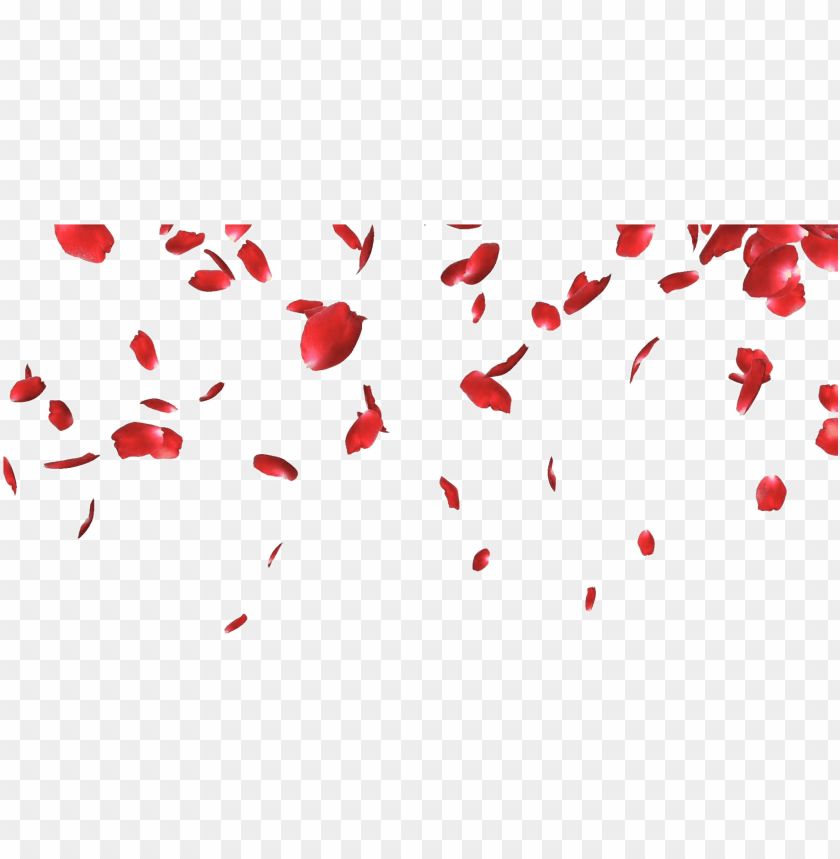 free PNG falling petals png picture - rose petals falling PNG image with transparent background PNG images transparent