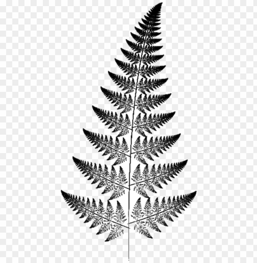 background, leaf, graphic, plant, abstract, maori, pattern