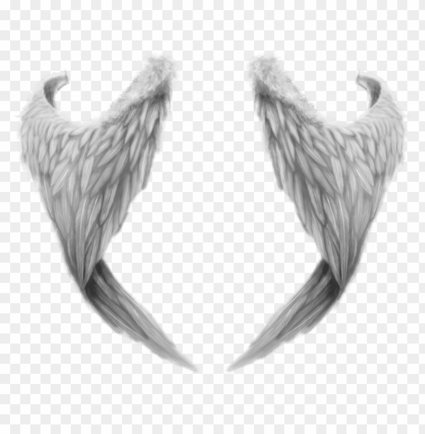 Fantasy Angel Wings PNG Images & PSDs for Download