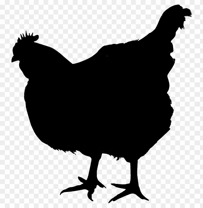 free PNG farm chicken png - chicken silhouette with transparent background PNG image with transparent background PNG images transparent