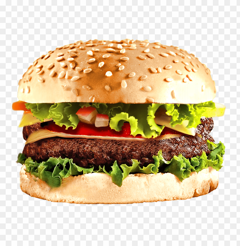 Fast Food Burger PNG Images With Transparent Backgrounds - Image ID 13675