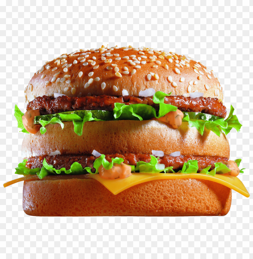 
burger
, 
fast food
, 
ham
, 
meat
, 
fast food burger
, 
mc donalds
, 
burger king
