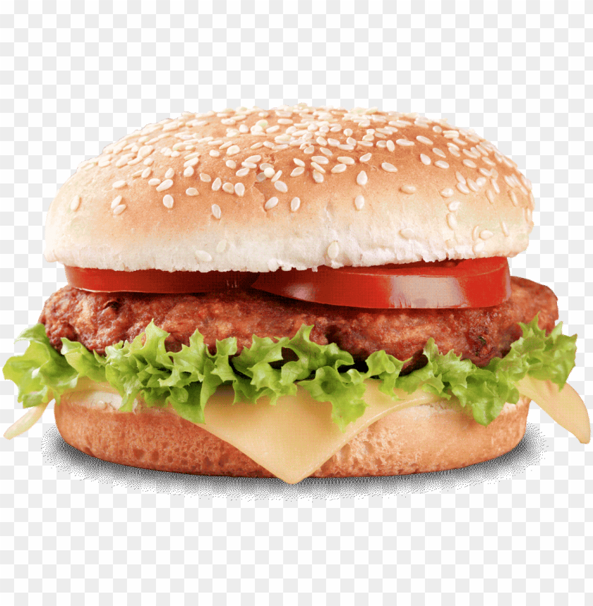 Fast Food Burger PNG Images With Transparent Backgrounds - Image ID 13690