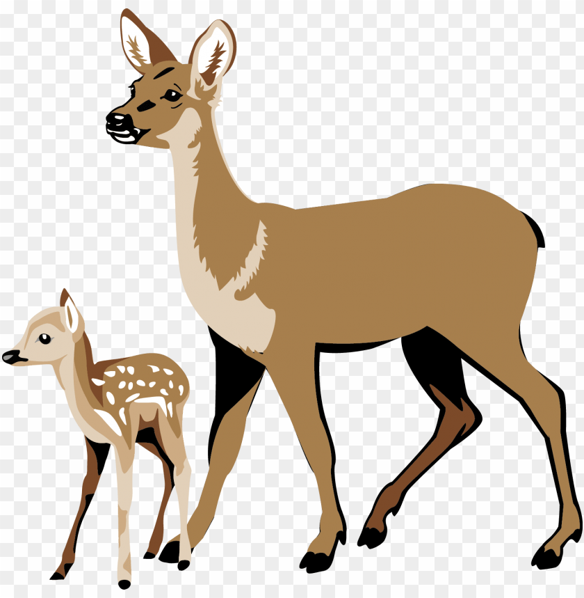 deer, food, deer head, graphic, tail, retro clipart, wild