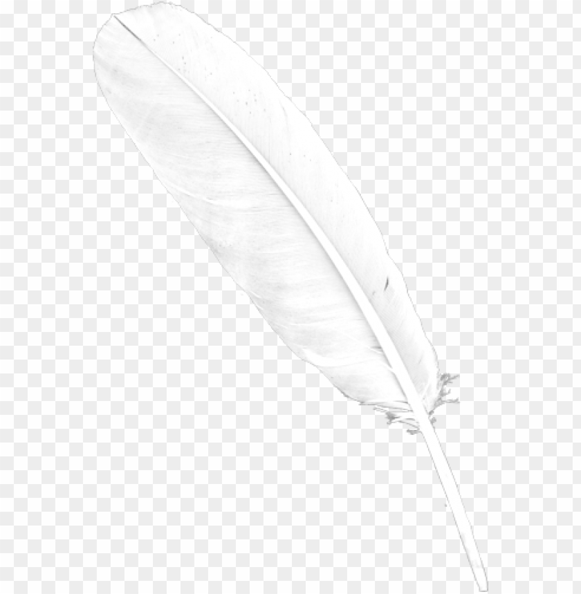 feather png,feather,feather transparent background,feather file png,feather clipart,feather png images,feather png clipart