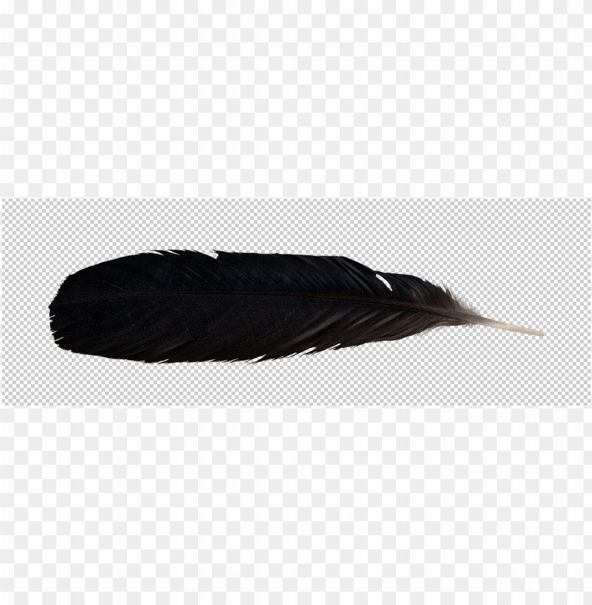 feather png,feather,feather transparent background,feather file png,feather clipart,feather png images,feather png clipart