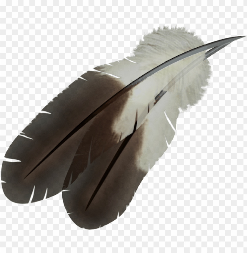 feather png,feather,feather transparent background,feather file 

png,feather clipart,feather png images,feather png clipart