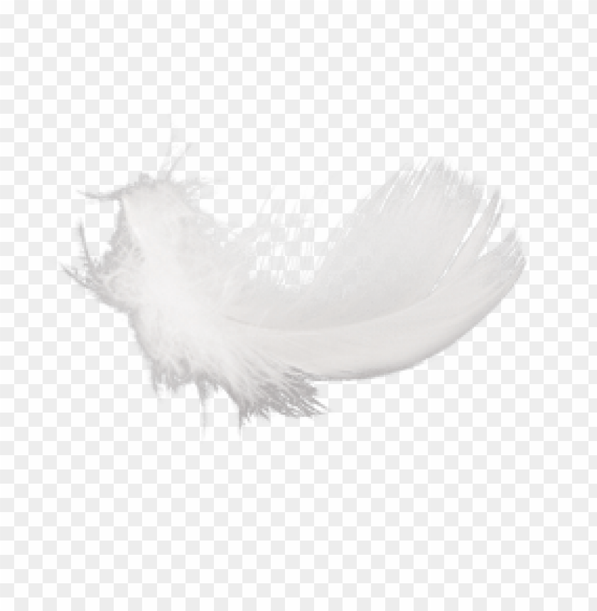 feather png,feather,feather transparent background,feather file 

png,feather clipart,feather png images,feather png clipart