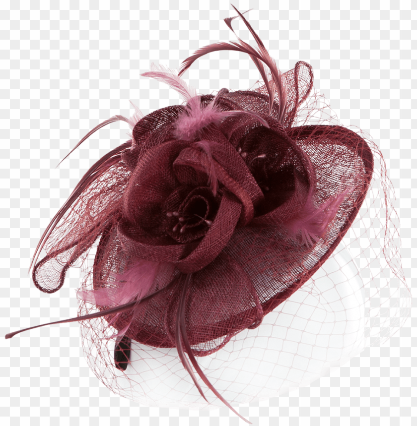 free PNG feather and mesh decorated - fascinator hat transparent background PNG image with transparent background PNG images transparent