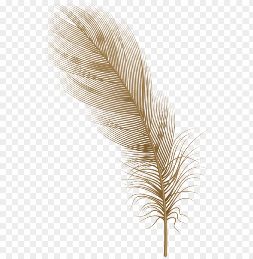 feather brown png