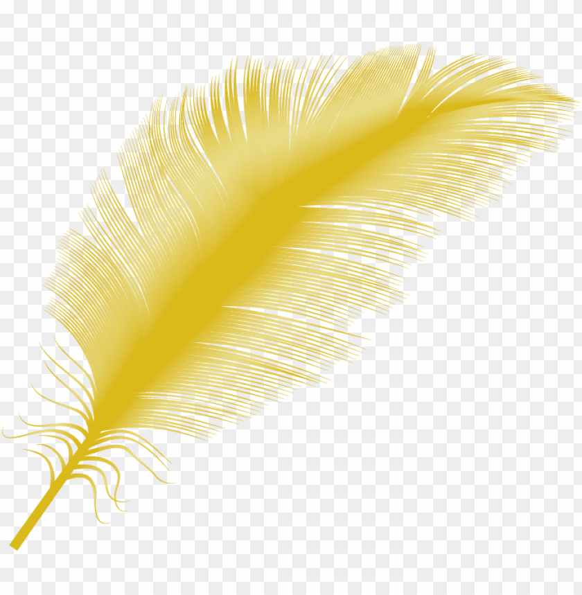 feather falling png transparent yellow feather PNG transparent with Clear Background ID 246014
